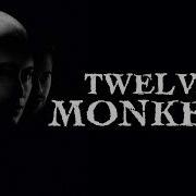 12 Monkeys 1995 Sci Fi Thriller Full Movie Facts Review Bruce Willis Brad Pitt Madeleine Stowe