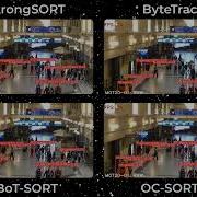 ByteTrack Vs BoT SORT Vs StrongSORT Vs OC SORT YOLOv8x Comparision