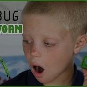 Hexbug Inchworm Remote Controlled Bug Review