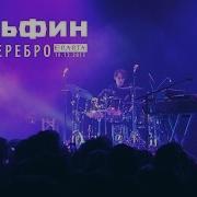 Дельфин Dolphin Серебро Акустика Live