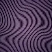 Tame Impala Disciples