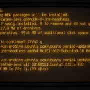 Clojure Programming Guide Step 1 Installing Java On Linux