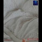 Python Snake Funny Status Video ALO Shorts