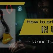 Echo Command How To Print In Unix Cygwin Unix For Beginners 2022