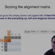 3 3 Dynamic Programing Global Alignment