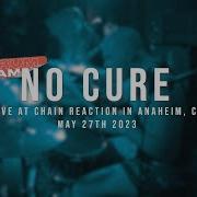 197 Drum Cam No Cure 05 27 2023