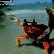 The Prodigy Narayan High Quality