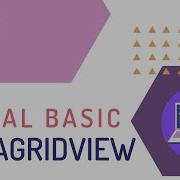VISUAL BASIC DATAGRIDVIEW