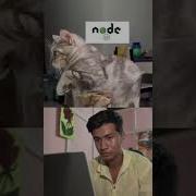 Real Or Fake Meme Memes Nodejs Js Javascript Programming Programmer Coding