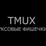 TMUX Линуксовые Фишечки 28