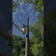Snap Cut With A Perfect Landing
