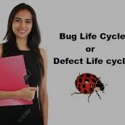 Bug Life Cycle Defect Life Cycle Software Testing Automotive Testing Embedded World