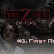 CSO The Z FILE 1st Report