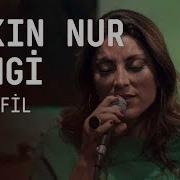 Aşkın Nur Yengi Karanfil Akustikhane Sesiniac