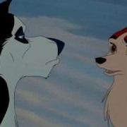 Balto As The Code Monkey