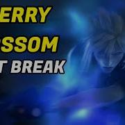 Cloud Strife Limit Break Cherry Blossom