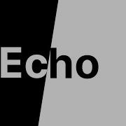 FLASH WARNING Echo Meme