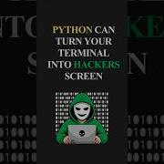 This Python Code Turns Your Terminal Into A Hacker Screen