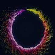 Particle Dance After Effect