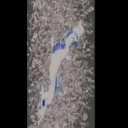 2d Images To 3d Reconstruction Of Image Stacks Of Mouse Brain Tissue