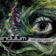 Pendulum Through The Loop