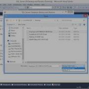 SQL Server Database Backup And Restore Using C Part 3