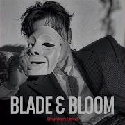 Bloom In Chaos