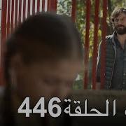 أليف الحلقة 446 دوبلاج عربي