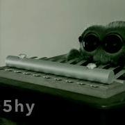 Lucas The DANK Spider