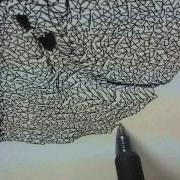Early Polargraph Test