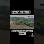 Şamil Quliyev Dəşti Muğamı
