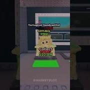 ALL TURTLE BRAINROTS IN STEAL A BRAINROT