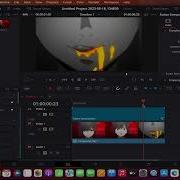 Timeslice Scrap Tutorial DaVinci Resolve