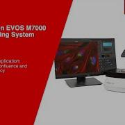 EVOS M7000 Analysis Application Batch Analysis Of Confluence And Transfection Efficiency