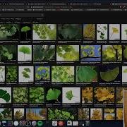 Generative Art With R