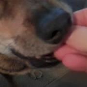 Life Source Bits Mp4