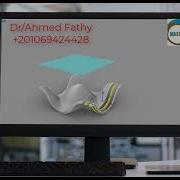 Parametric Table On Grasshopper