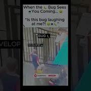 Developer Vs Bug Dev Stamina 1 Shorts Youtubeshorts Viral