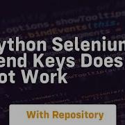 Python Selenium Send Keys Does Not Work