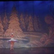 Moscow Ballet Musical Wunderkind Olivia Lin Fresno CA 2015
