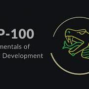 Introducing EXP 100 Fundamentals Of Exploit Development
