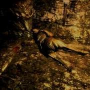 SKYRIM PRISON RAPE