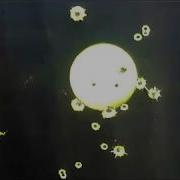 DIY Reactive Splatter Targets