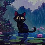 The Spring Rain Lofi Sounds For Chill Moments Study Relax Sleep With Lofi Hip Hop Chill Beats