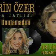 Zerrin Özer Unutamadım Official Audio Orijinal Plak Kayıtları Official Audio Remastered