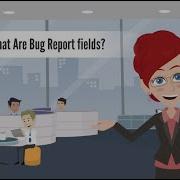 What Are Bug Report Fields