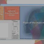 The AMMA Software Environment And Options