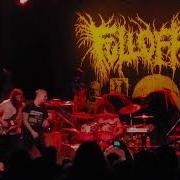 Full Of Hell Aurora Leaking Live At The Observatory Santa Ana CA 03 20 2023