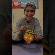 Beebot Programmable