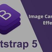 How To Create Bootstrap Card Hover Effect Easy Bootstrap 5 Card Hover Effect